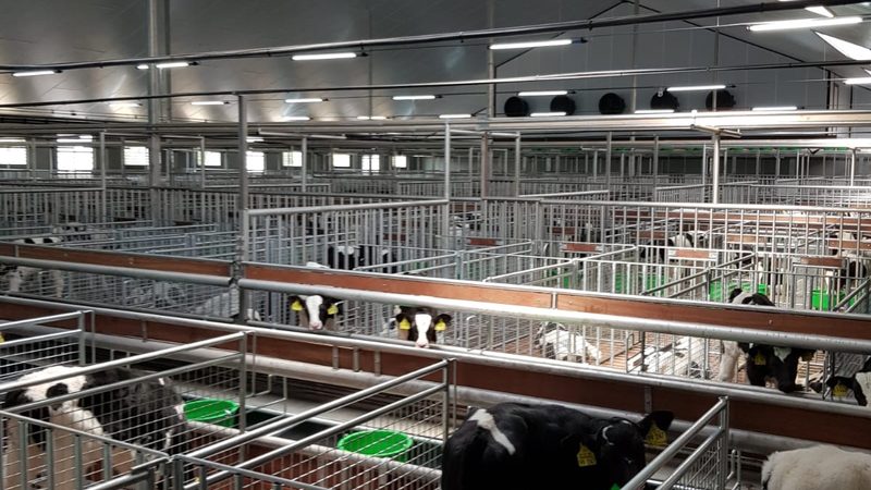 抖音小店保证金缴纳：新手必看流程详解